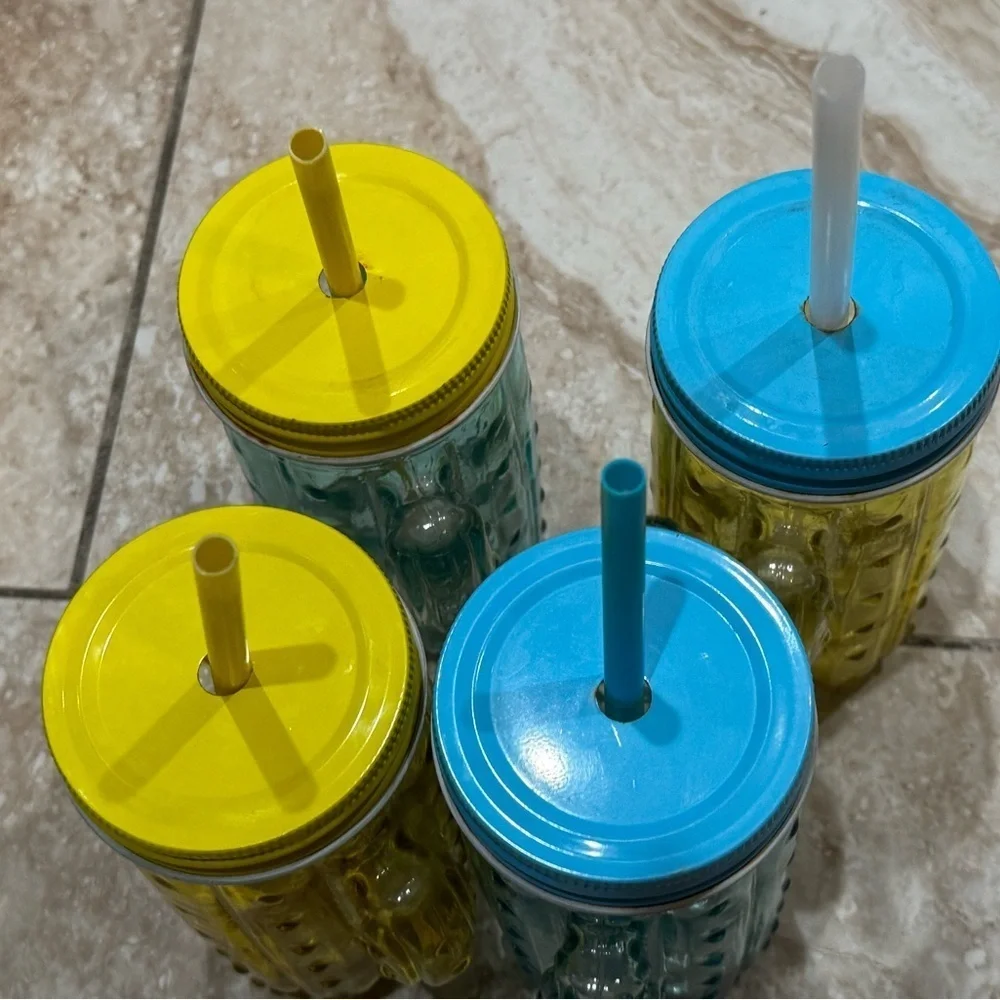 Colorful Cactus Mason Jar‎ Set